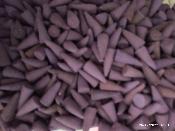 Encens Opium